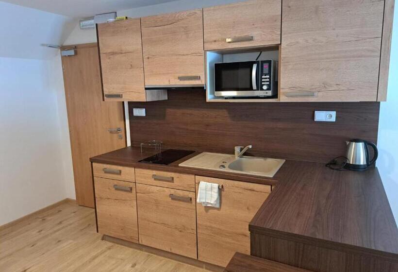 Pensionat Penzion Richard