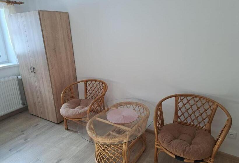 Pensionat Penzion Richard