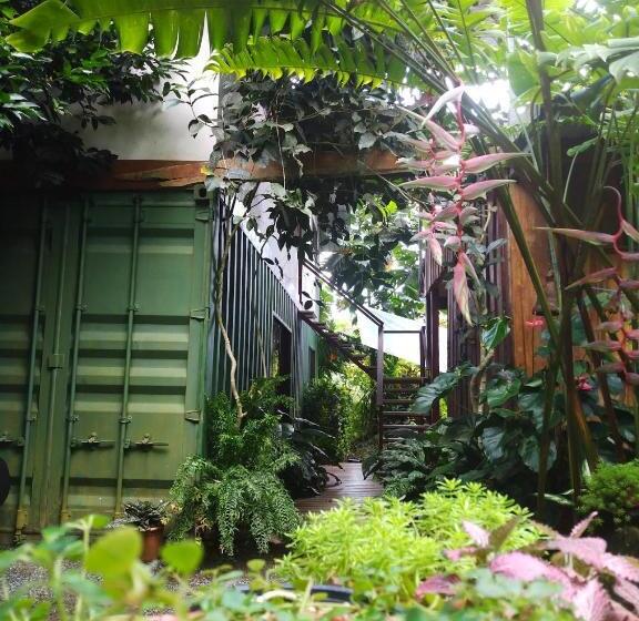 פנסיון Osa De Rio