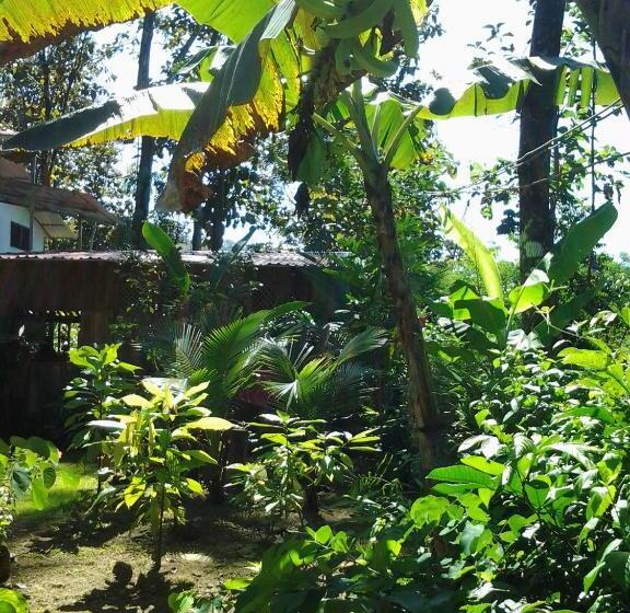 פנסיון Osa De Rio