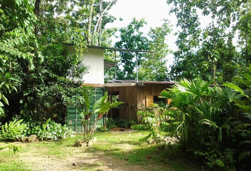 פנסיון Osa De Rio