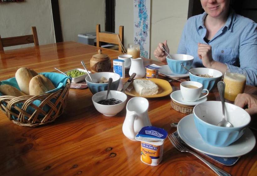 پانسیون The Travelling Chile