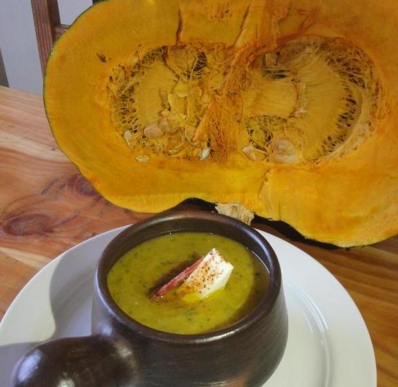 پانسیون The Travelling Chile