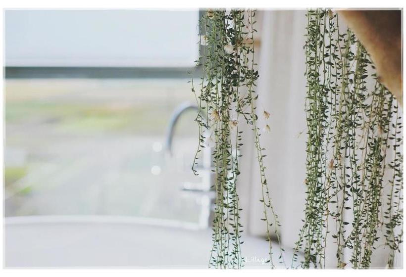 Пансион Dali Village Inn