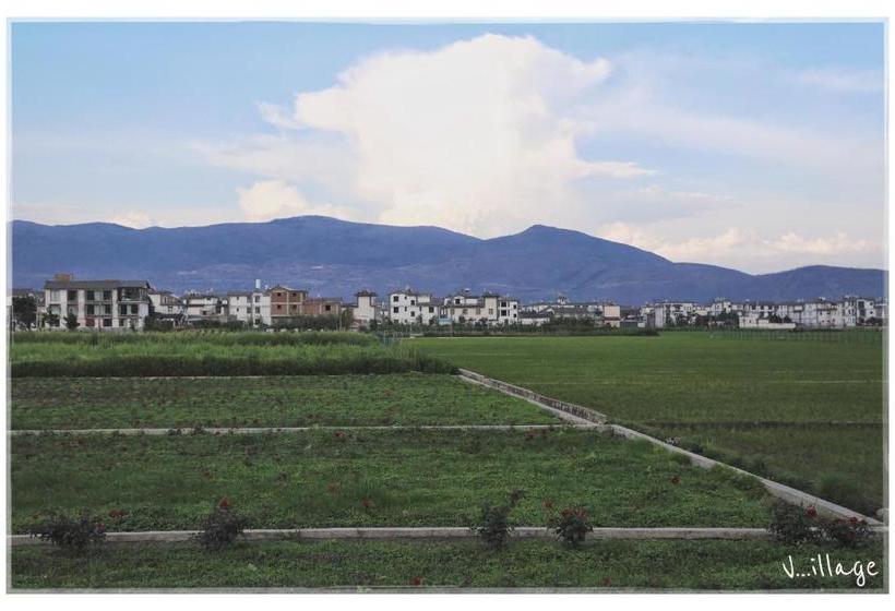 Пансион Dali Village Inn