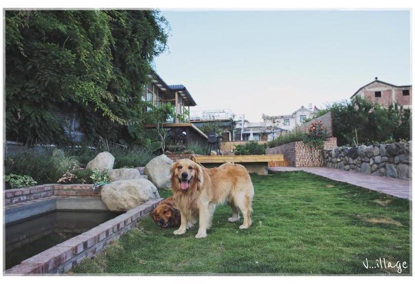 Пансион Dali Village Inn