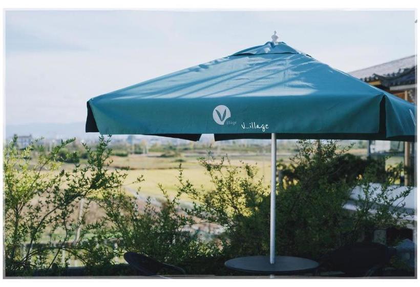 Пансион Dali Village Inn