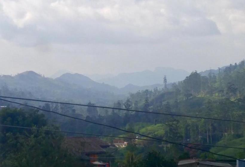 پانسیون Duke S Nose Holiday Bungalow