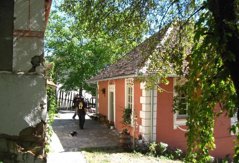 پانسیون Ethno Village Slatkovac