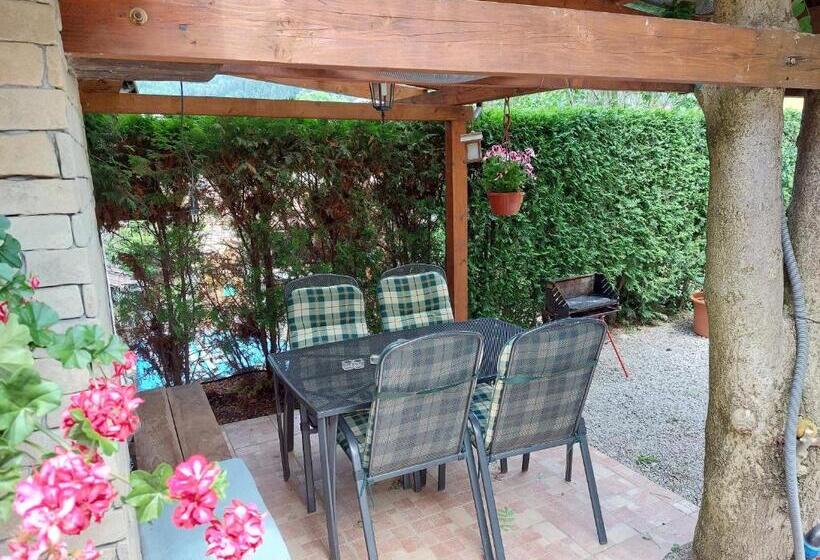 بنسيون Privat Lena