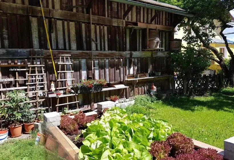 ユースホステル Alpengasthof Draxler