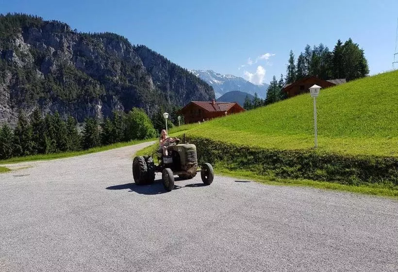 ユースホステル Alpengasthof Draxler