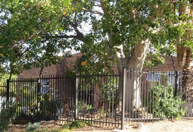 פנסיון Coral Tree Guest Rooms