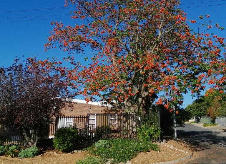 פנסיון Coral Tree Guest Rooms
