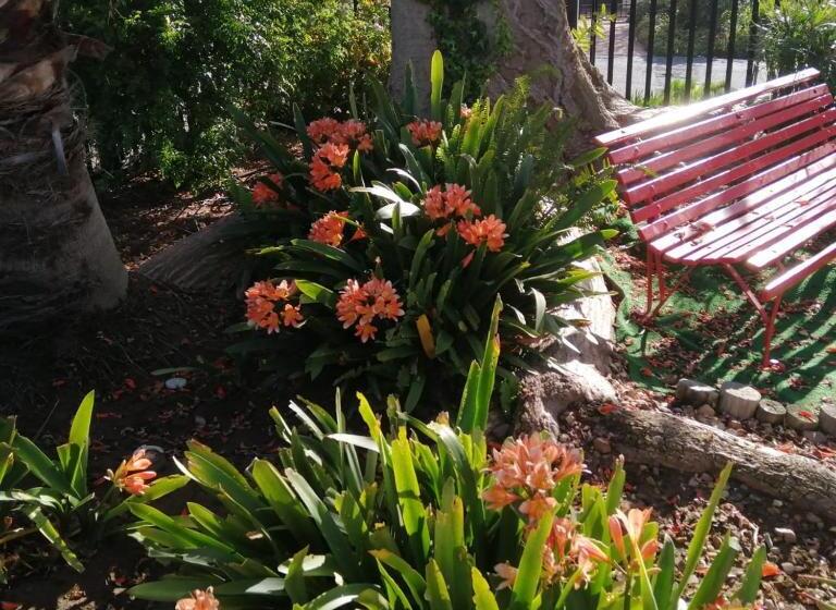 פנסיון Coral Tree Guest Rooms