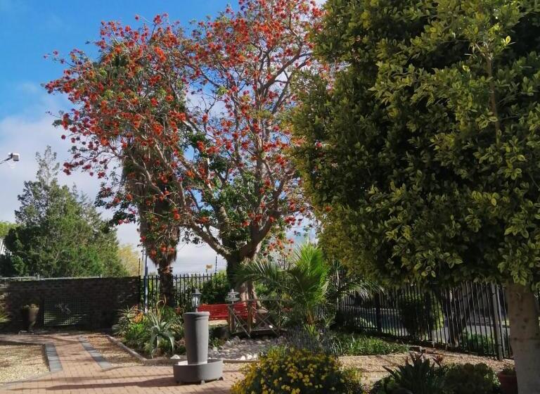 פנסיון Coral Tree Guest Rooms