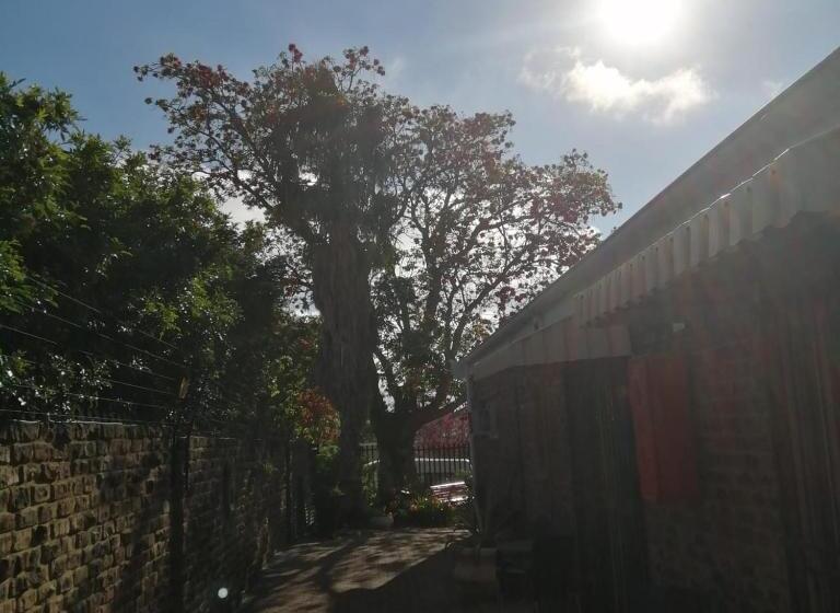 פנסיון Coral Tree Guest Rooms