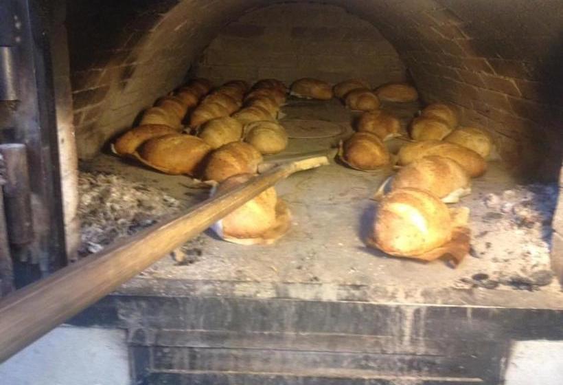 Panzió Guest House Anastasia