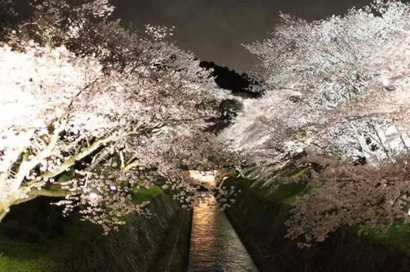 Majatalo Guest House Hana