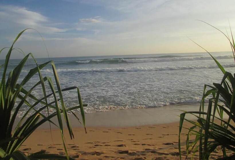 Пансион Nethu Freedom Cottage