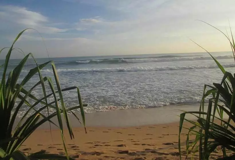 پانسیون Nethu Freedom Cottage