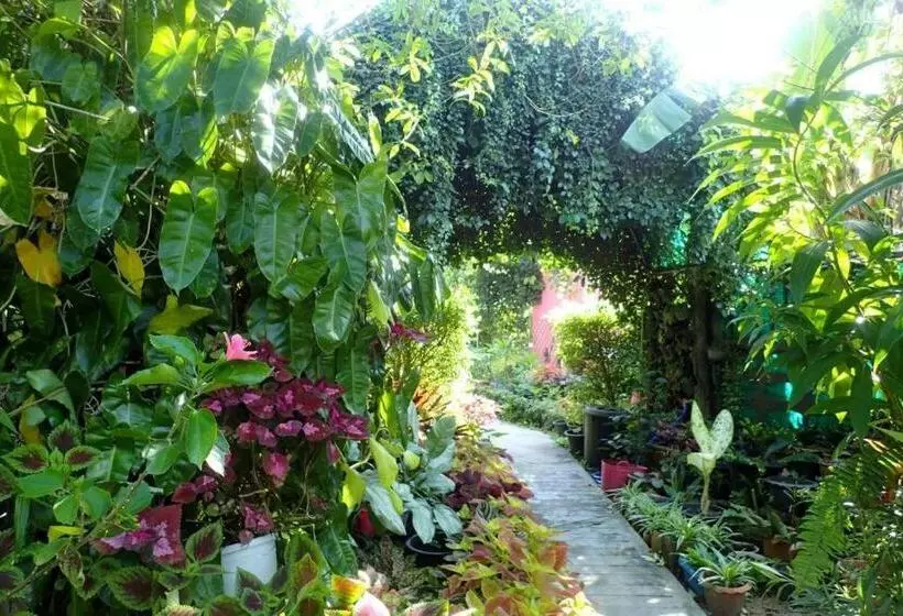 پانسیون Rommai Rimnaam Resort