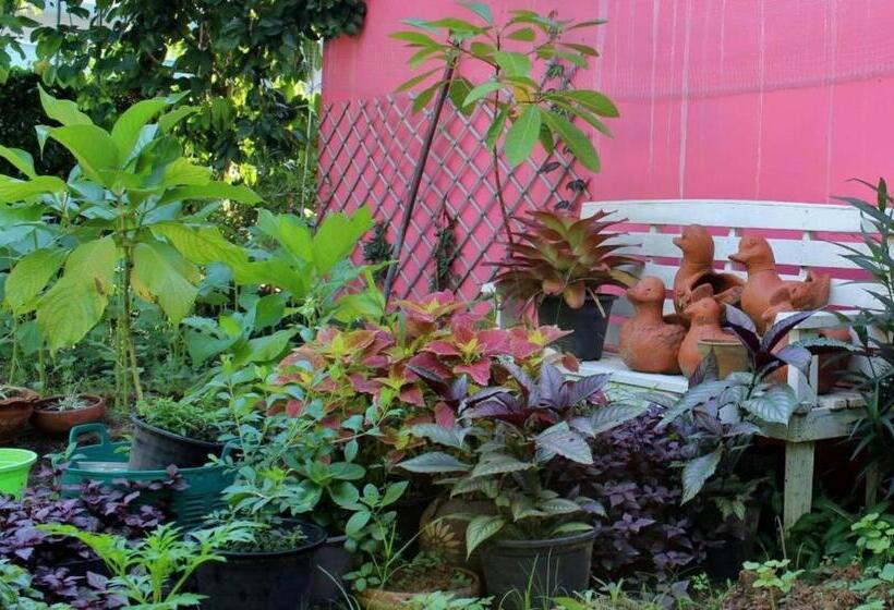 膳宿费 Rommai Rimnaam Resort