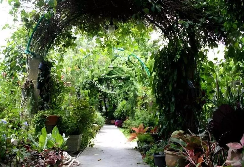 پانسیون Rommai Rimnaam Resort