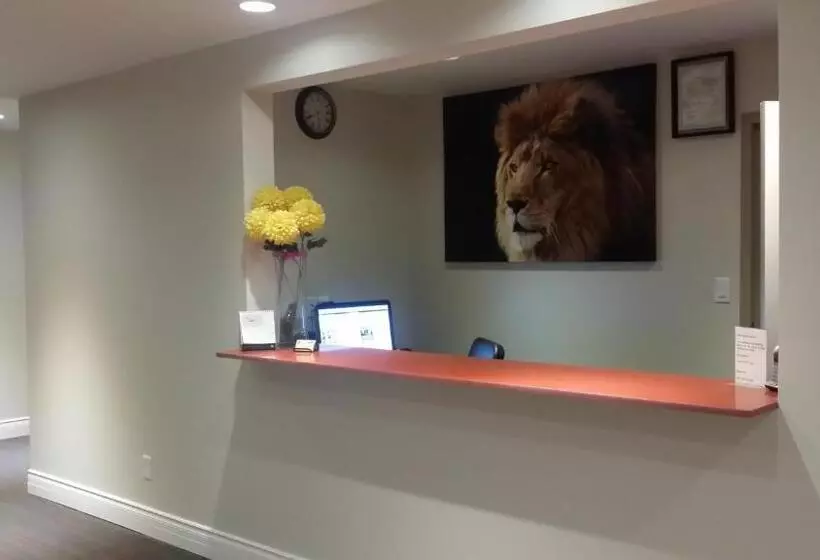 هاستل The Lion Inn & Suites