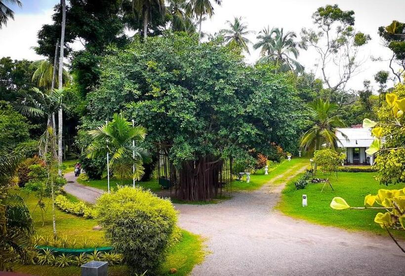 Oreeka   Katunayake Airport Transit Hotels