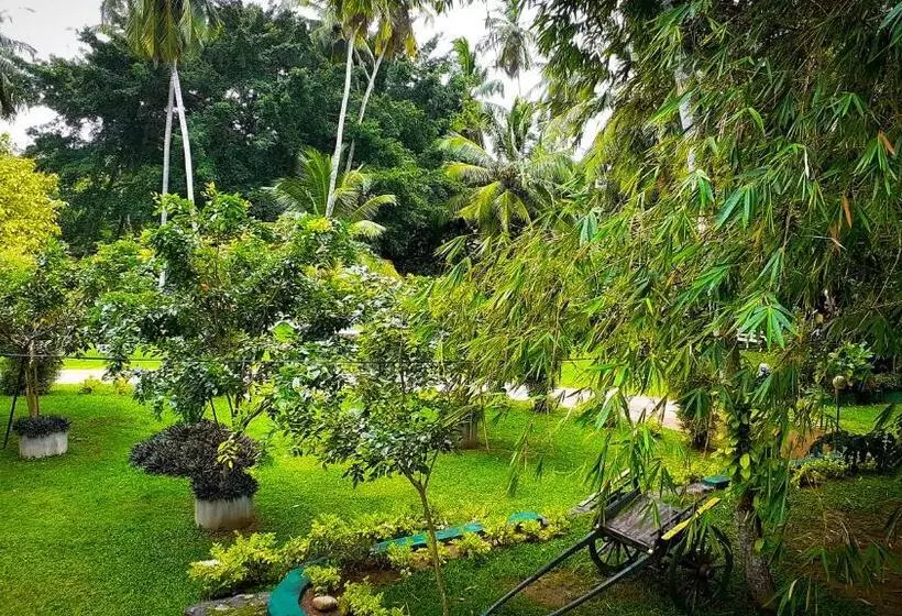 Oreeka   Katunayake Airport Transit Hotels