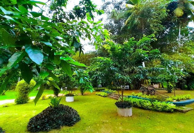 Oreeka   Katunayake Airport Transit Hotels