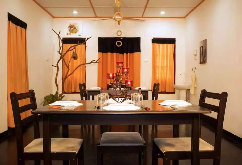 ペンション D Villa Guest House