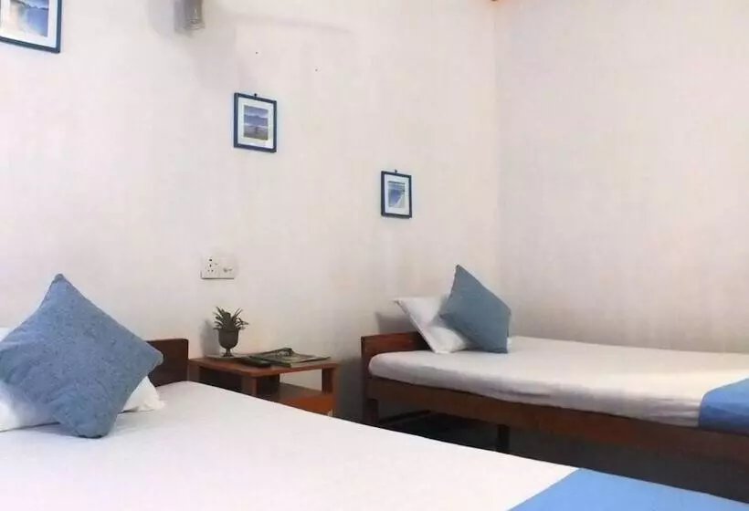 ペンション D Villa Guest House