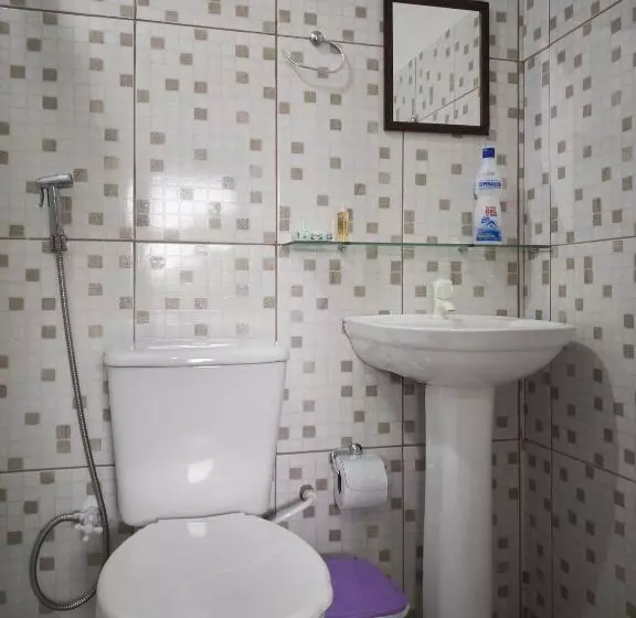 ペンション Pousada Alterosa