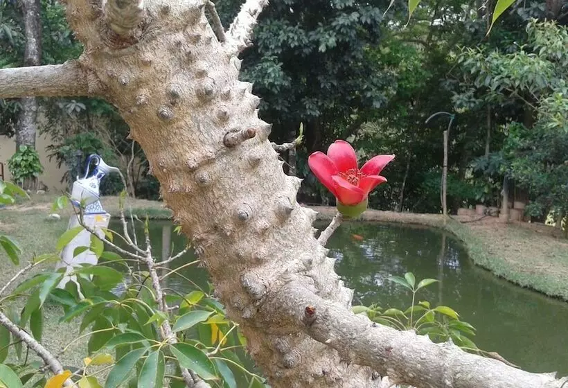 ペンション Pousada Mirante Do Lago