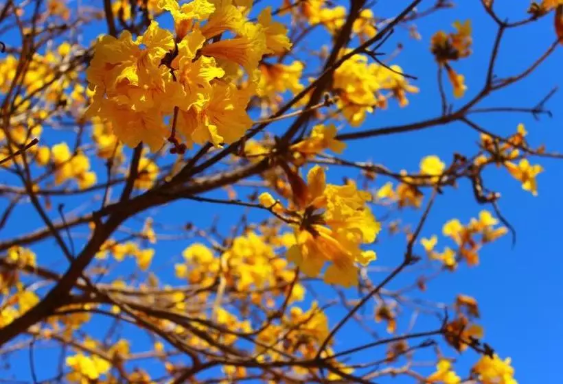 Majatalo Pousada Vila Cipó