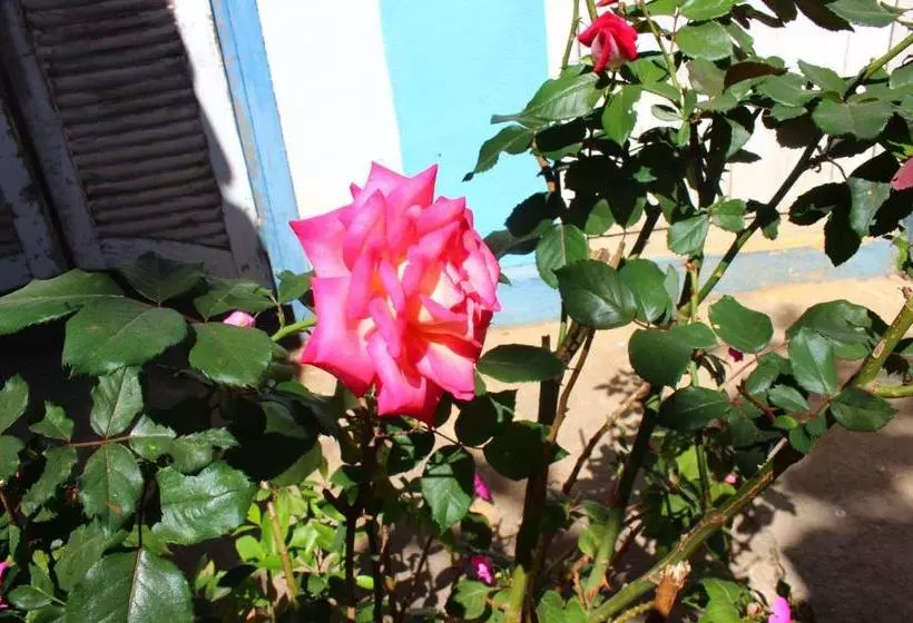 Majatalo Pousada Vila Cipó