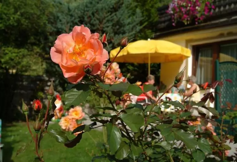 Pension Maria