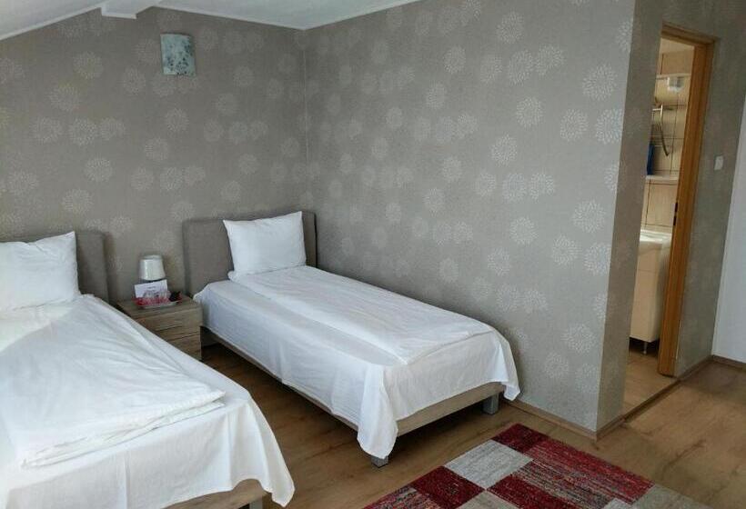 Pensiunea Vladut Timisoara