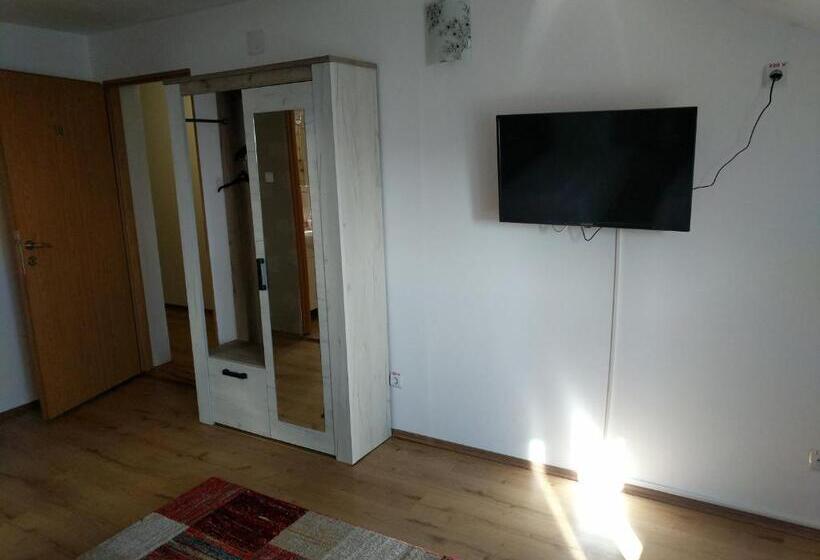 Pensiunea Vladut Timisoara