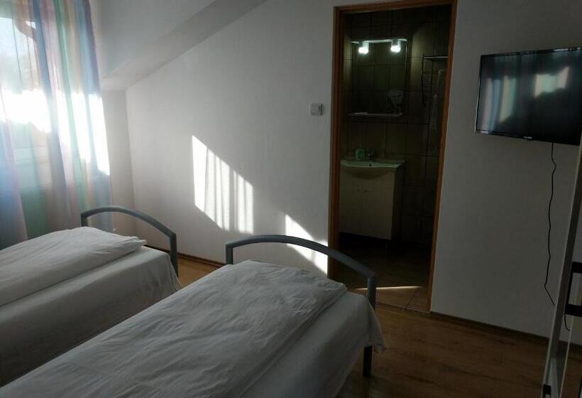 Pensiunea Vladut Timisoara