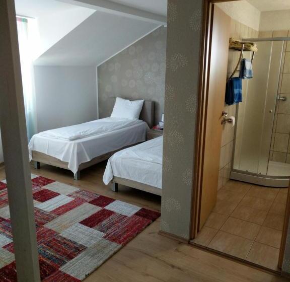 Pensiunea Vladut Timisoara