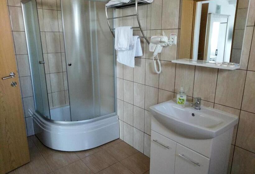 Pensiunea Vladut Timisoara