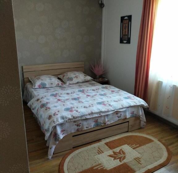 Pensiunea Vladut Timisoara