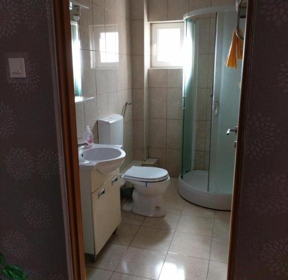 Pensiunea Vladut Timisoara