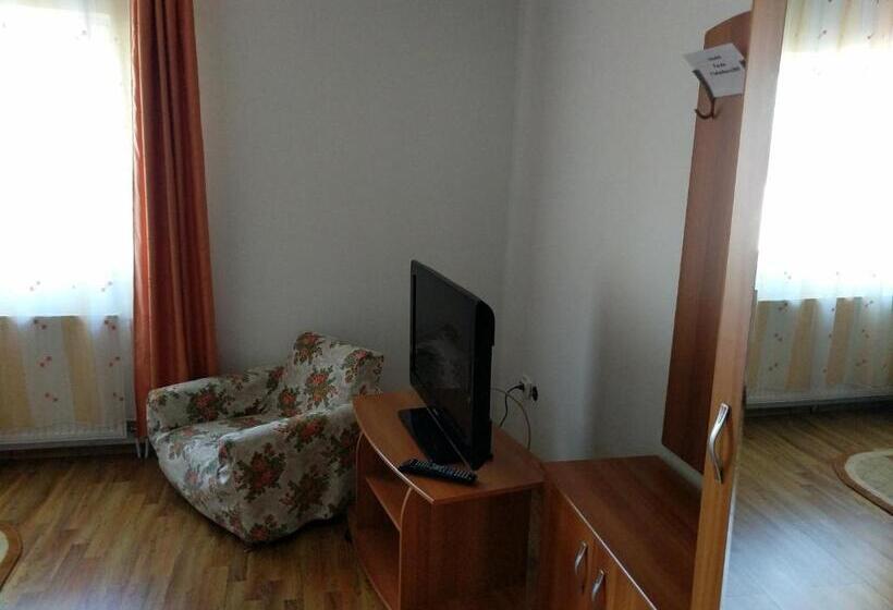 Pensiunea Vladut Timisoara