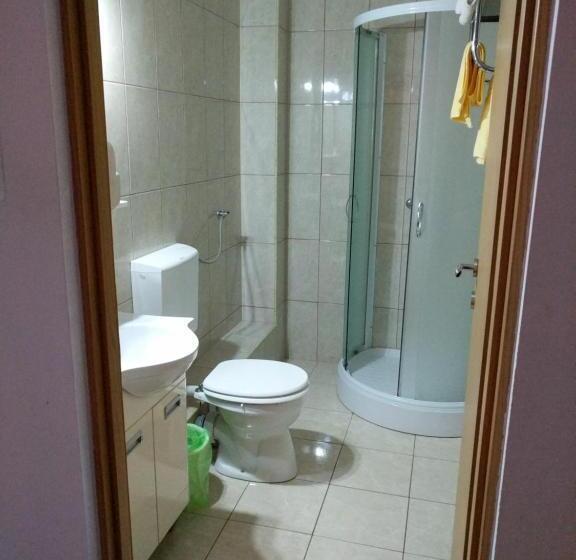 Pensiunea Vladut Timisoara