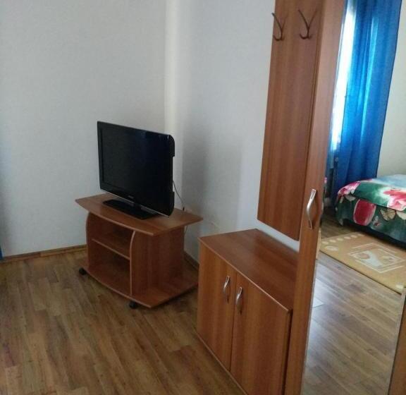 Pensiunea Vladut Timisoara