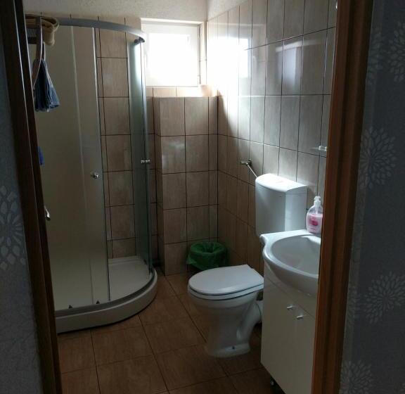 Pensiunea Vladut Timisoara